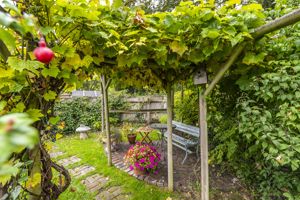 Photo 23- click for photo gallery